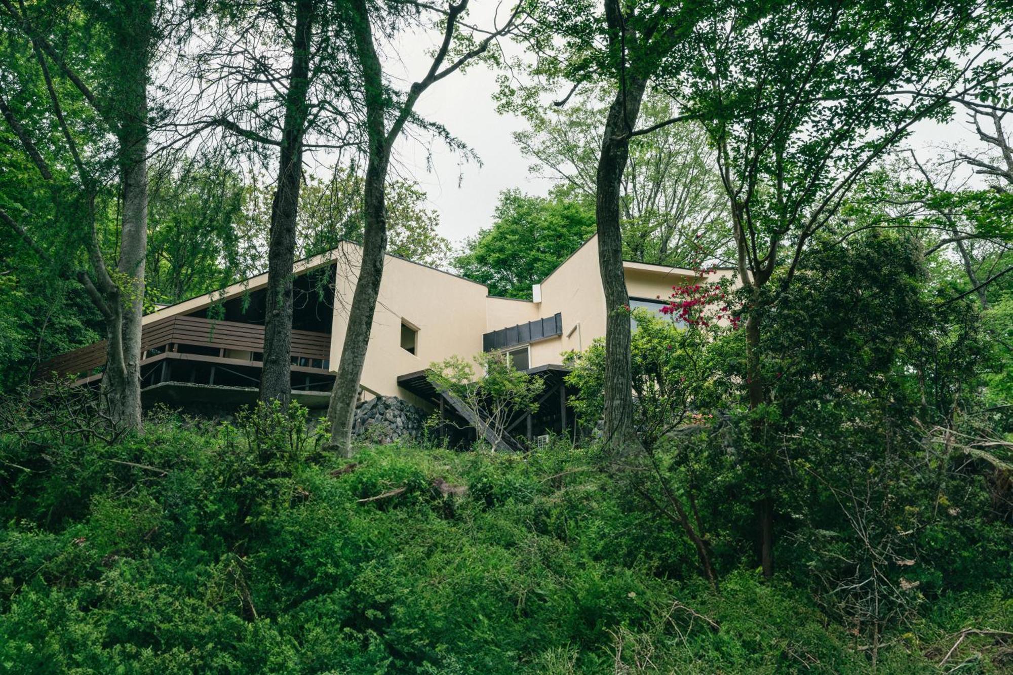 Aknot Hakone 大涌谷を望むモダニズム建築 東京から90分 Villa Exterior photo
